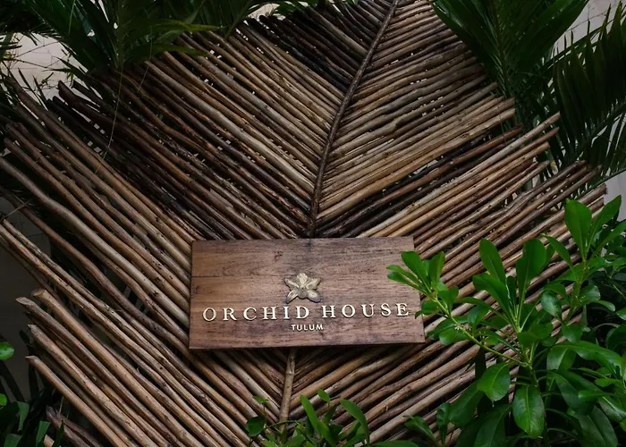 Orchid House Tulum Jungle